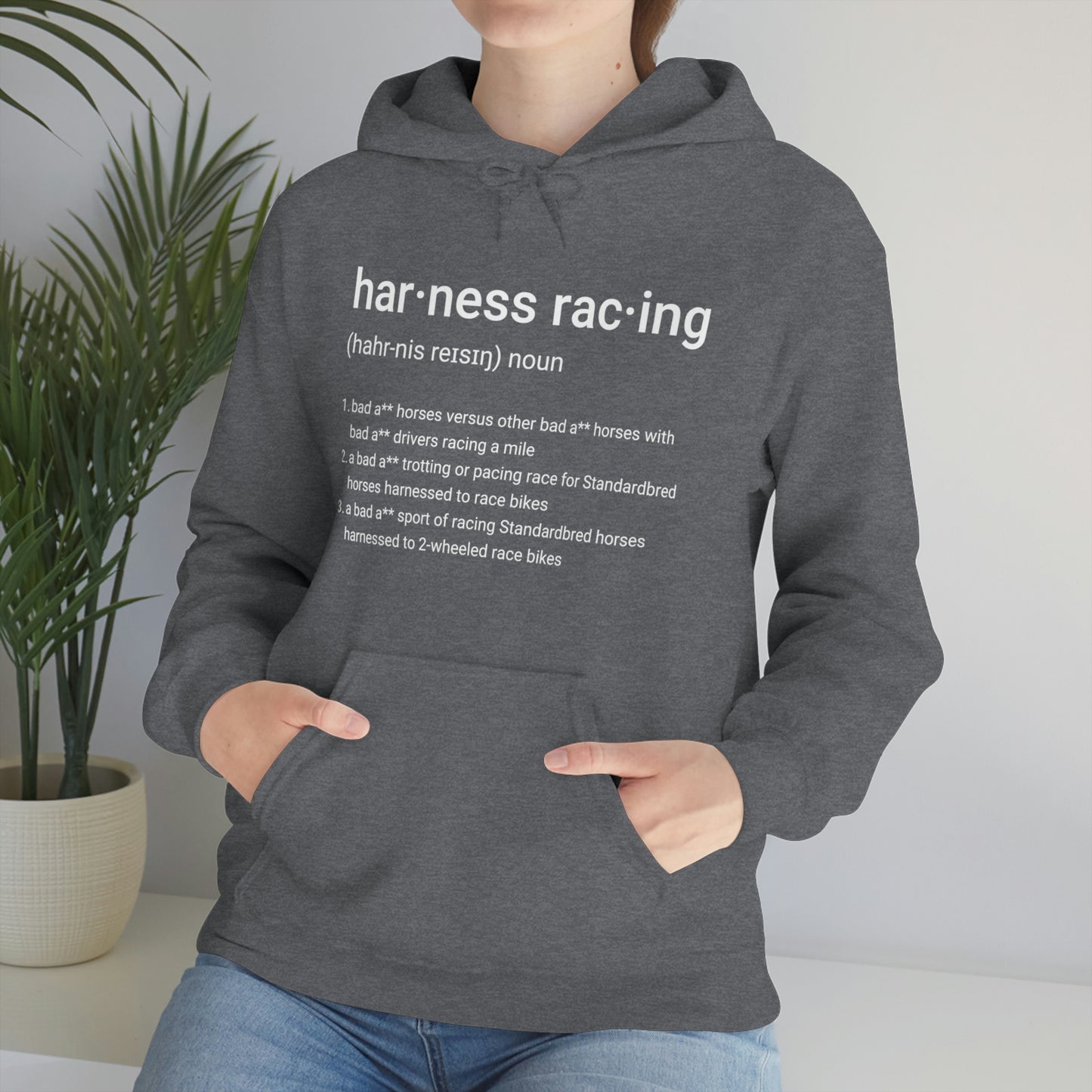 Harness Racing Definition - Unisex Heavy Blend Hooded Sweatshirt