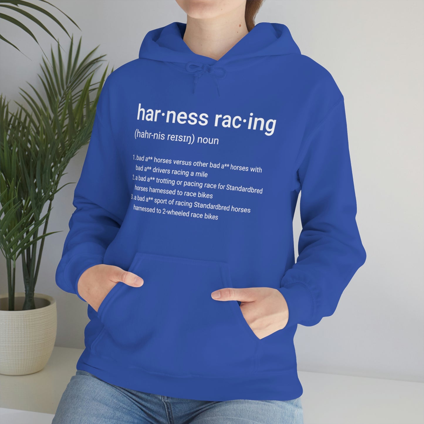 Harness Racing Definition - Unisex Heavy Blend Hooded Sweatshirt